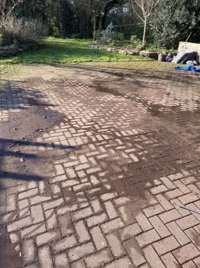 Block paved driveway thick with moss and dirt